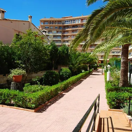 Iris Playa de Gandia